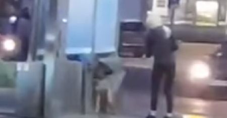 Szczecin. Czyściła psa na myjni samochodowej. Zwierzę wyło z bólu