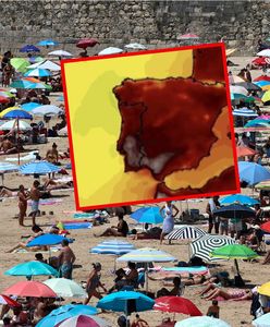 Żar leje się na Portugalię. Ponad 20 pożarów w ciągu doby