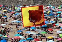 Żar leje się na Portugalię. Ponad 20 pożarów w ciągu doby