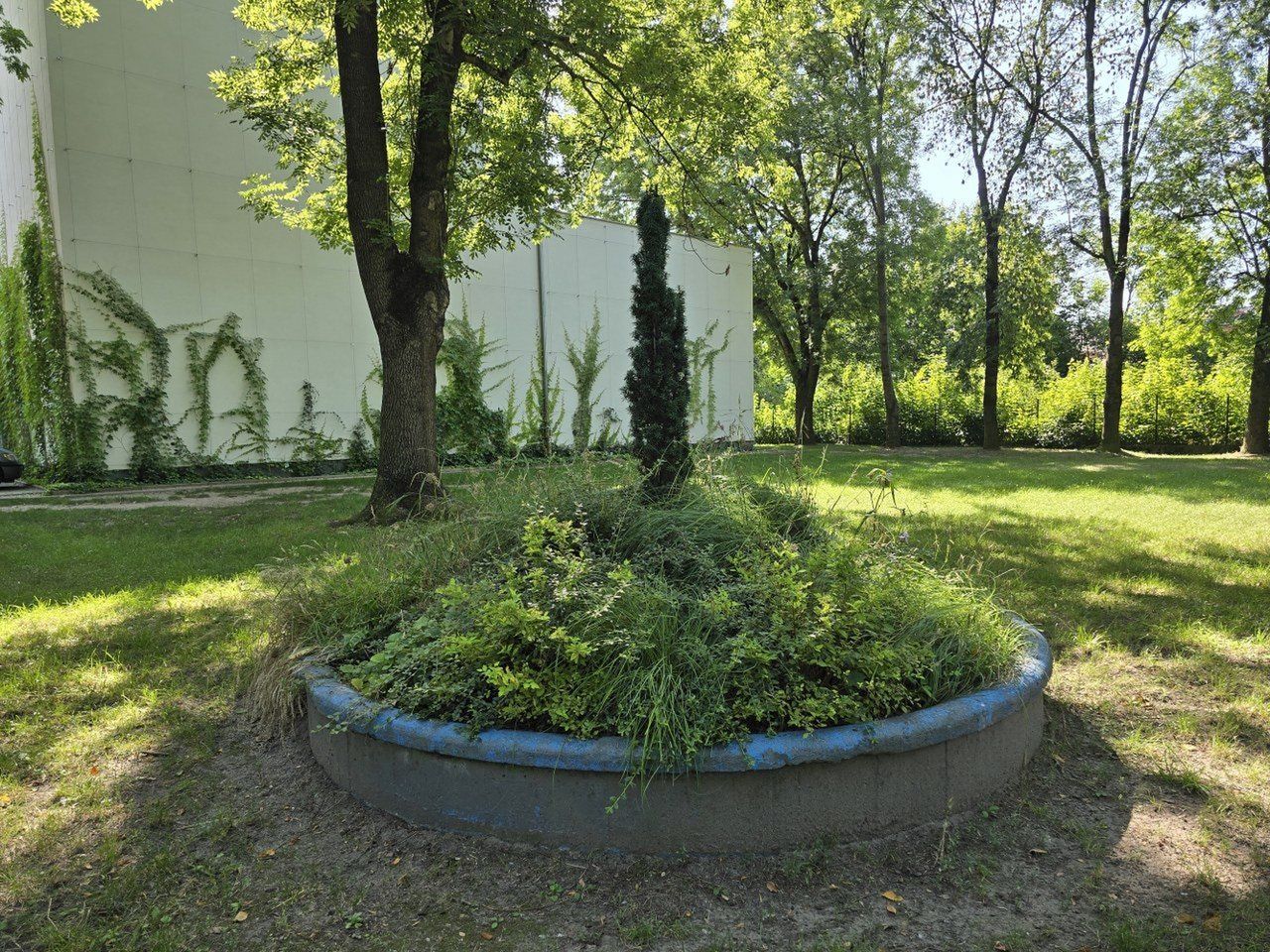 Tak dziś wygląda Park im. Leszczyńskich Satyryków. Wkrótce powstanie tu tężnia solankowa