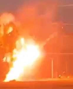 Piorun uderzył w drzewo. Uchwycono moment wybuchu pożaru