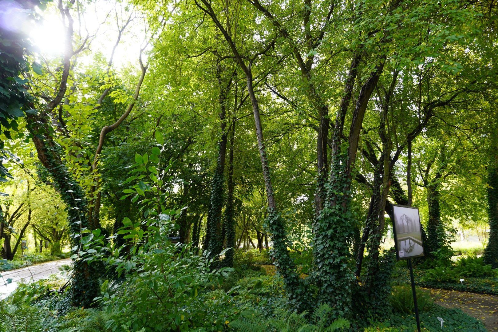 Aflopark Najlepszym Produktem Turystycznym 2025