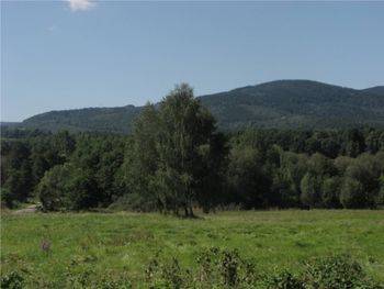 Srebrna Kopa. Widoki ze szczytu wprawiają w zachwyt