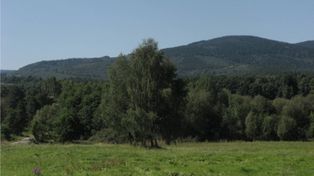 Srebrna Kopa. Widoki ze szczytu wprawiają w zachwyt
