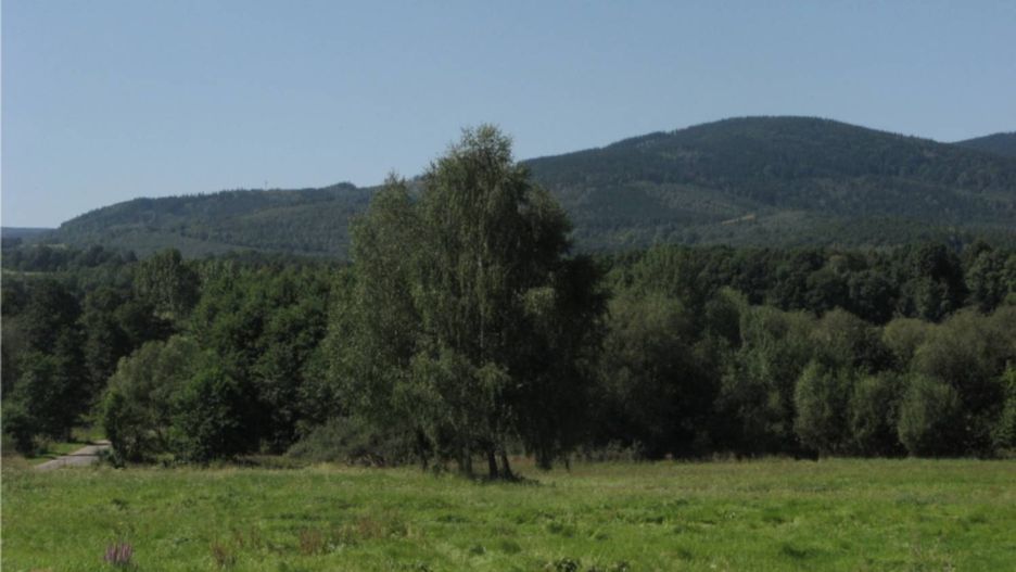 Srebrna Kopa