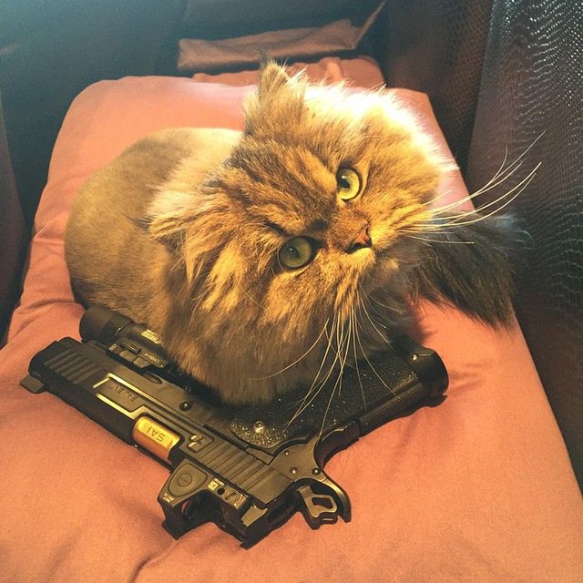 Broń, aligator i seksowne syrenki. Tak imprezuje Król Instagrama 5