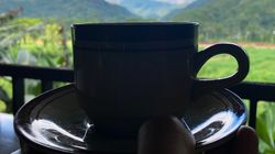 Chroni mózg, serce i korzystnie wpływa na metabolizm. Pij nawet 3 filiżanki dziennie