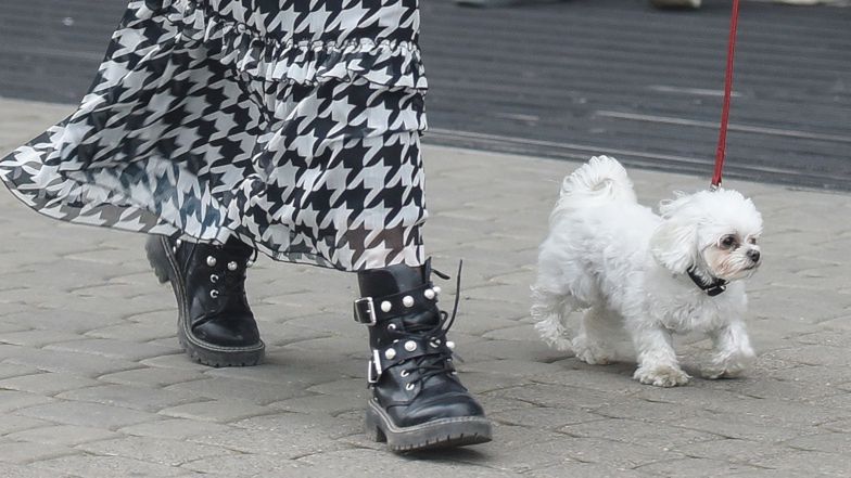 Karolina Małysz wyprowadza na spacer pieska i torebkę za 11 tysięcy złotych 