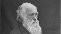 Naukowcy podważyli jedną z głównych teorii Darwina