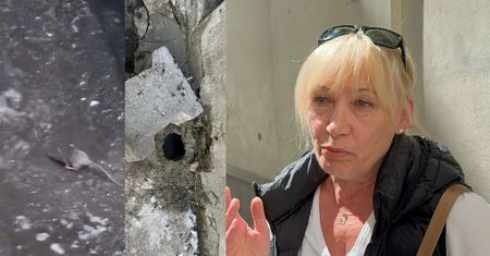 Plaga szczurów w kamienicy. "Duże, jak koty"
