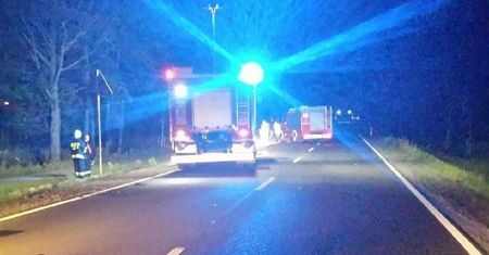 Motocyklista zderzył się z łosiem. Mężczyzna nie żyje, jego 10-letnia córka w szpitalu
