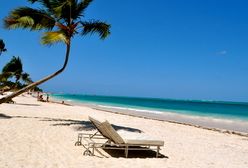 Bułgaria, Albania, a może Włochy? Zobacz, ile cię to będzie kosztować