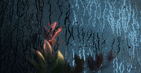 "Botanical", czyli szklane domy Samuela Zellera