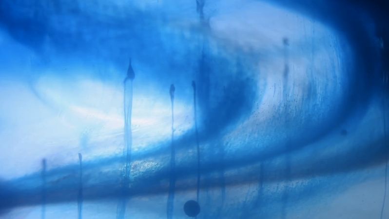 Jak zamienić akwarium w niesamowity obcy świat rodem z filmów science fiction? 1