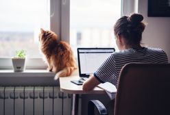 Biurko narożne – w jakich wnętrzach sprawdzi się najlepiej?