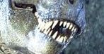 ''Park Jurajski'': Dinozaury Stevena Spielberga w 3D