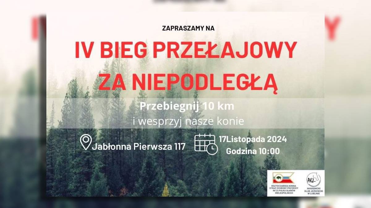 grafika IV edycja Biegu za Niepodległą z Akademickim Klubem Jeździeckim