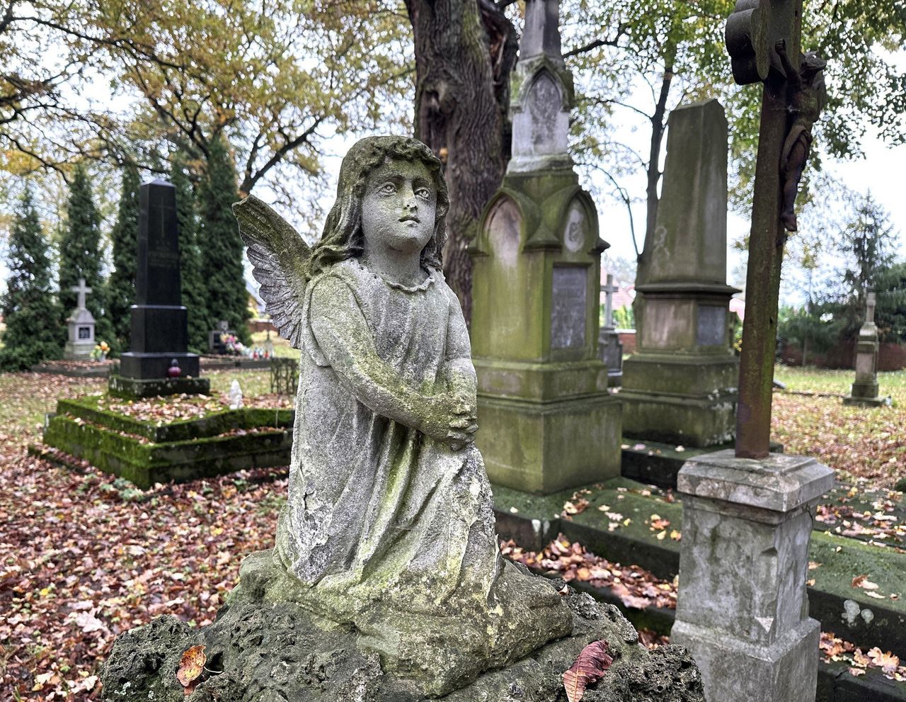 Tarnobrzeg: 27. kwesta na zabytkowy cmentarz we Wszystkich Świętych