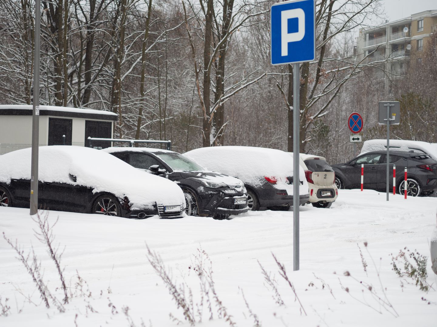 Śnieg na Boże Narodzenie? Wskazano, gdzie spadnie