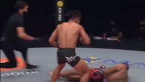 Brutalny łokieć na twarz! Zobacz, co zrobił "Tyson" [WIDEO]