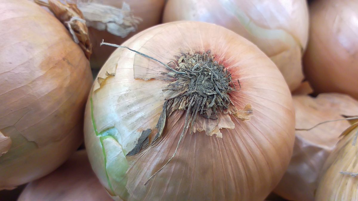 Fresh Harvest: Close-up of Organic Still Life with Raw Vegetables and Ingredients for Healthy Eating.
Fresh Harvest: Close-up of Organic Still Life with Raw Vegetables and Ingredients for Healthy Eating. Fresh, organic vegetables arranged in a nourishing still life composition.
Mohamad Hidayat