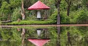Park w Sosnowcu-Kazimierzu pełen zieleni i kolorów, a do tego pełno tu zwierzaków. To idealne miejsce na weekendowy, rodzinny spacer