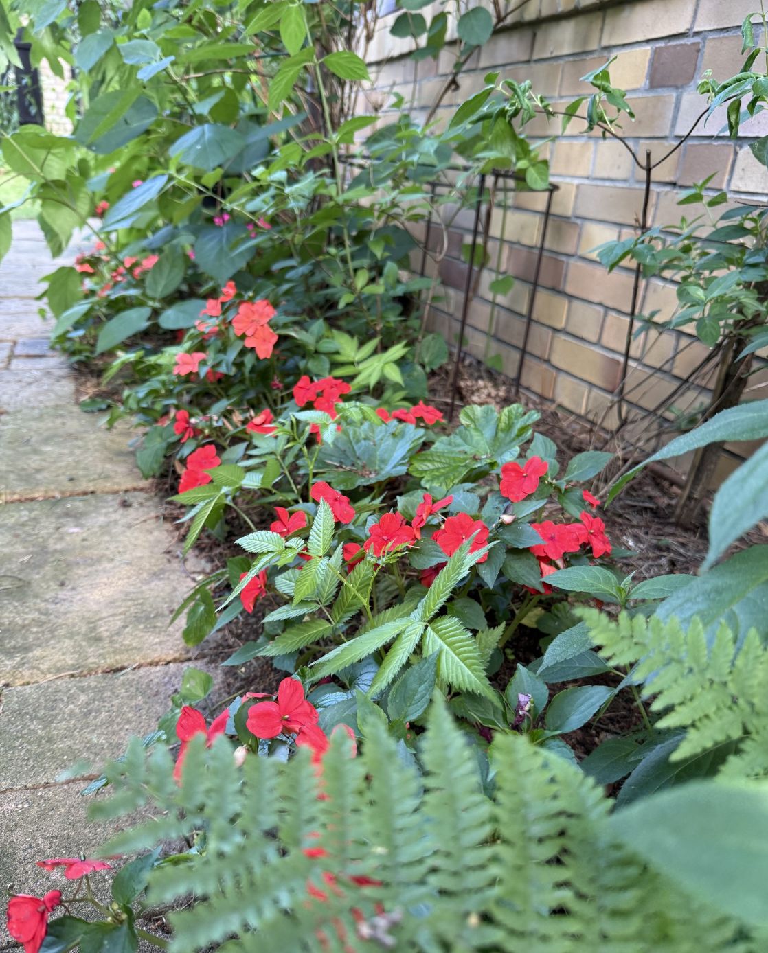 Ogród Artura Barcisia