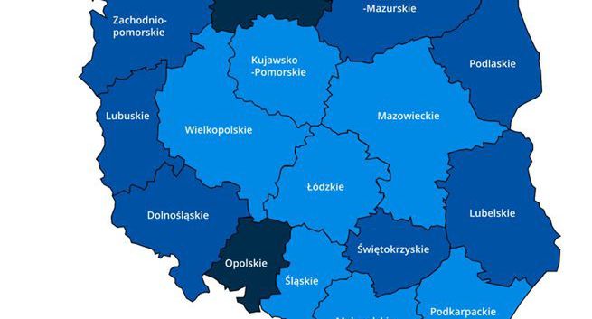 Ruszyła strona internetowa prezentująca codzienne raporty zakażeń