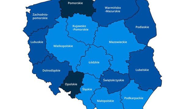 Ruszyła strona internetowa prezentująca codzienne raporty zakażeń