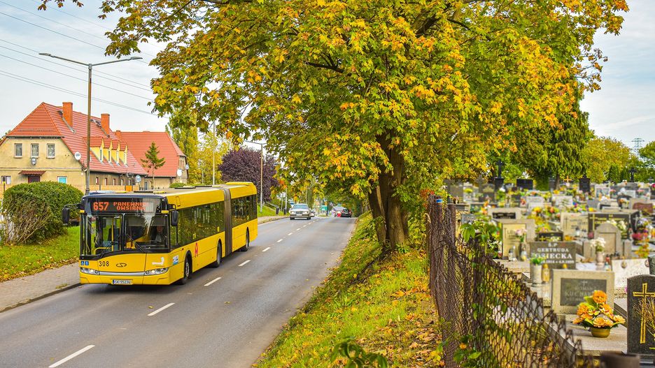 We Wszystkich Świętych komunikacja na terenie metropolii będzie darmowa.