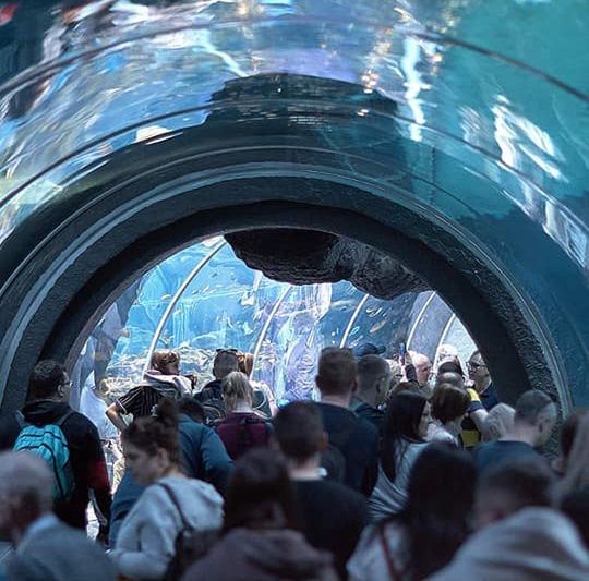 Tunel podwodny