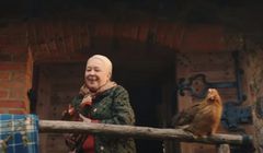 Kury od Lubelli rozkręciły YouTube'a w miesiącach wakacyjnych