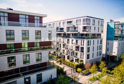 Nowy Polski Ład. Wiemy, na co na pewno nie zgodzi się Lewica