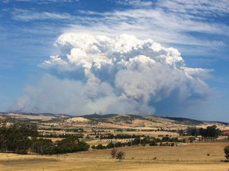 Pożary na Tasmanii. Ludzie uciekają z domów