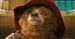 "Paddington" w kinach na Święta