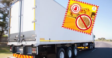 Szkodniki w żywności z Azji. Szybka reakcja służb
