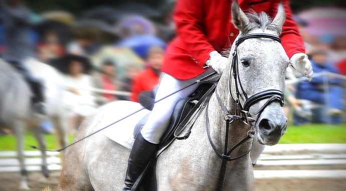 Jeździectwo: League of Nations - Ocala