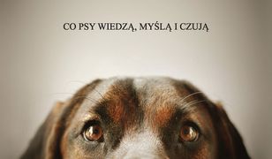 Oczami psa. Co psy wiedzą, myślą i czują