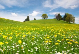 Ziemia rolna gwałtownie drożeje. Warto inwestować?