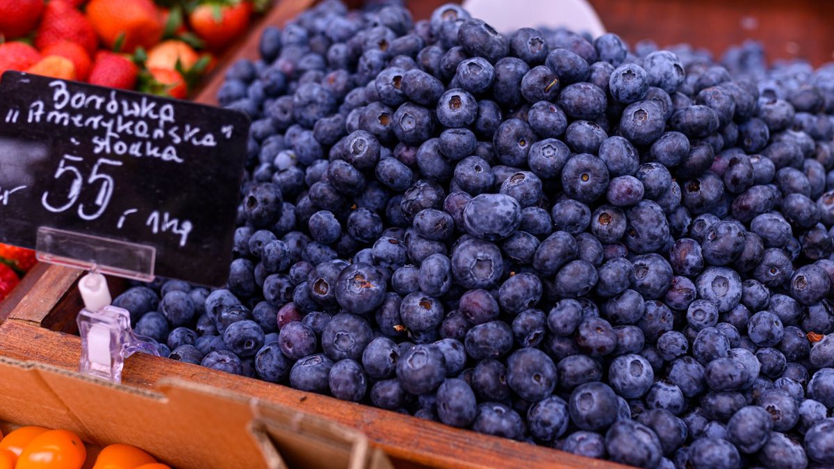 Polskie borówki amerykańskie mogą być hitem w Chinach