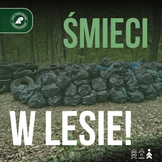 Post Nadleśnictwo Łąck, Lasy Państwowe