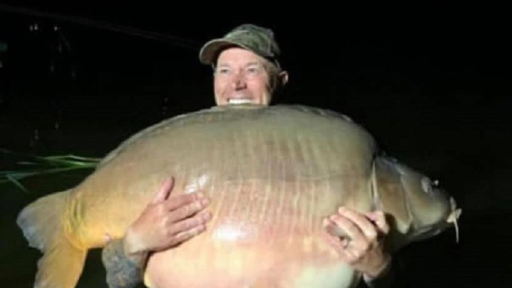 Brytyjczyk złowił ogromnego karpia