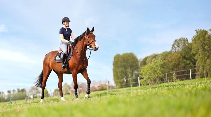 Jeździectwo: FEI Nations Cup w Avenches
