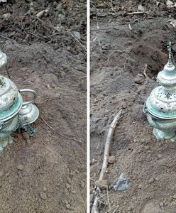 Sensacja w podkarpackim lesie. Zobacz, co wykopali