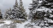 Karkonosze: Zima wróciła w góry. Na Śnieżce leży śnieg i panuje mróz