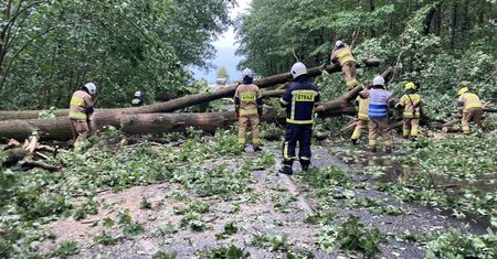 "Przeszła trąba powietrzna". Strażacy podsumowują interwencje