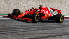GP Brazylii: Sebastian Vettel dopiekł Mercedesowi przed kwalifikacjami