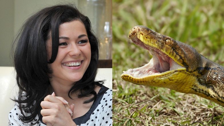 Katarzyna Cichopek pozuje do zdjęcia z pytonem