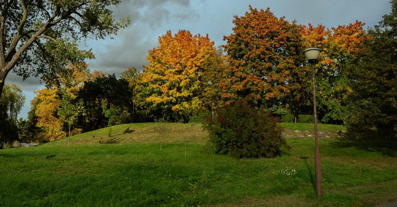 Wichura uderzy dziś w Polskę. Wiatr do 120 km/h i śnieg w górach