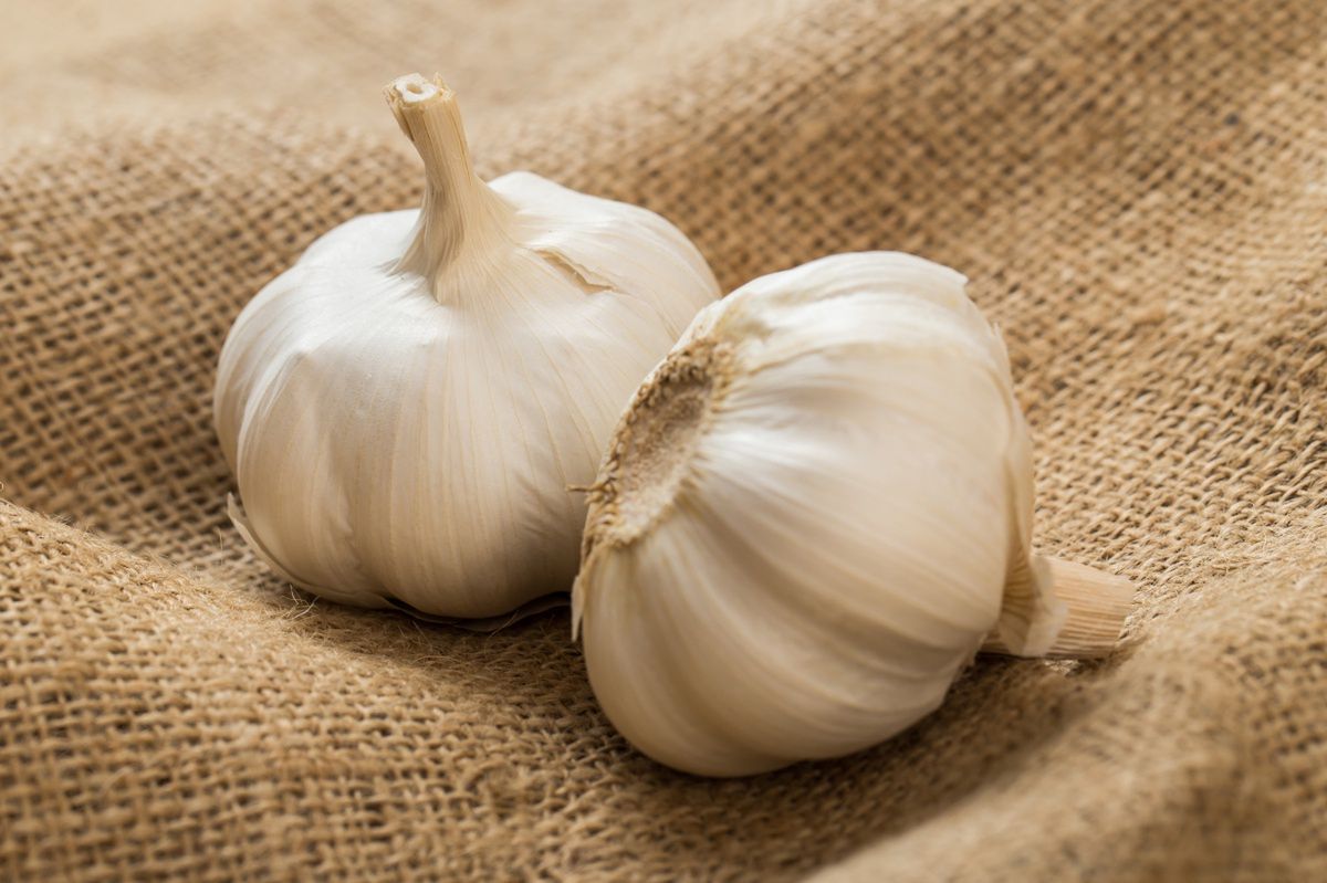 Two heads of garlic